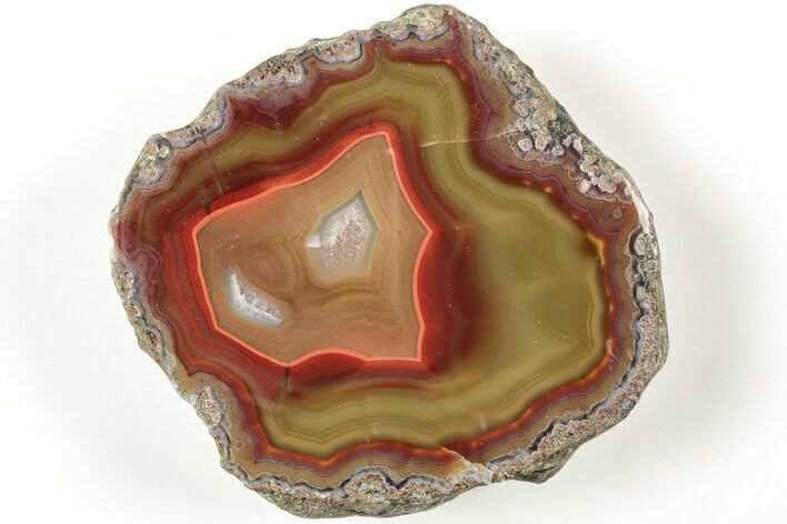 Colorful, Polished Condor Agate - Argentina #207249